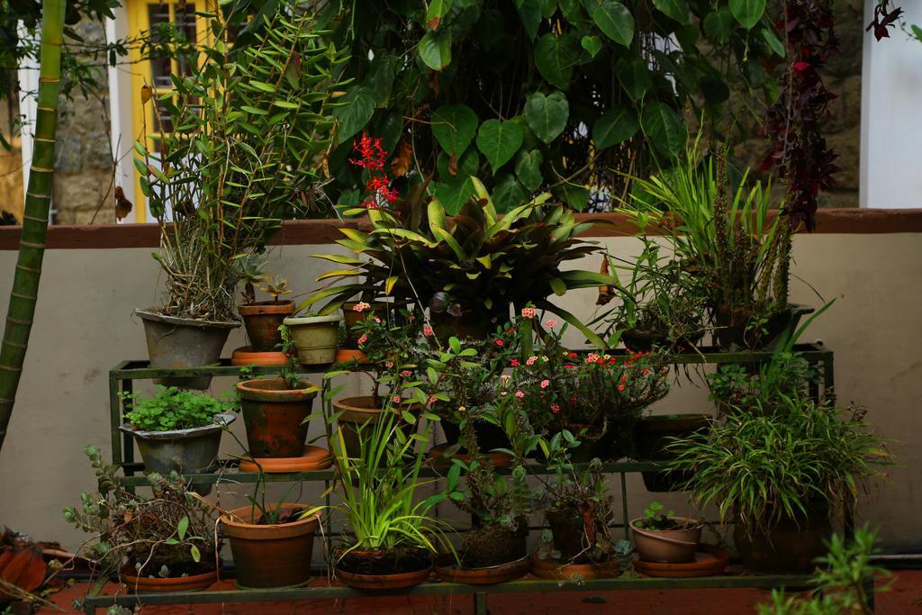 Pavithram Homestay Munnar Esterno foto